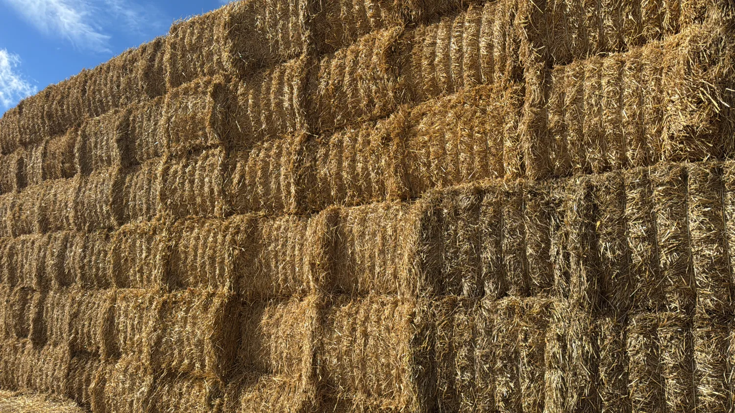 Stroh Quaderballen, 500kg, 2025 Ernte