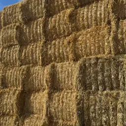 Stroh Quaderballen, 500kg, 2025 Ernte