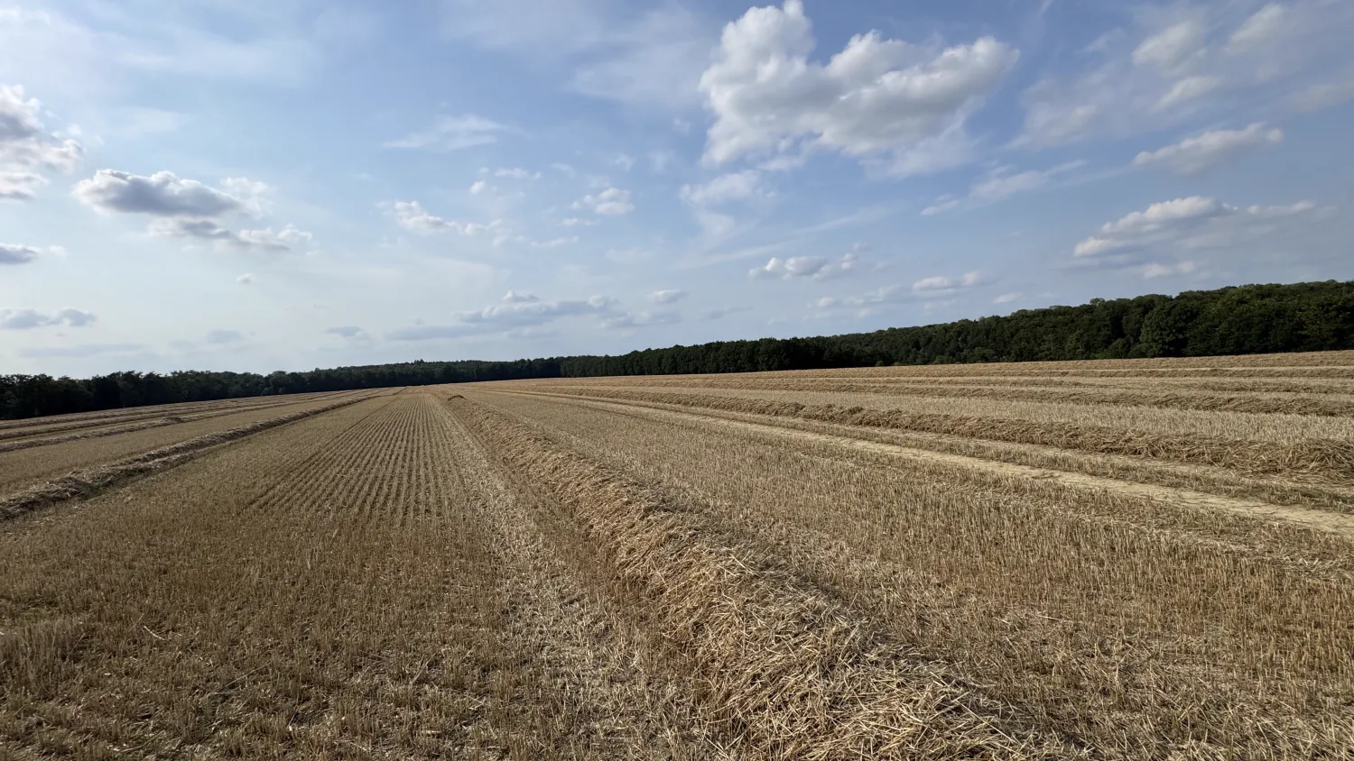 Stroh Quaderballen, 500kg, 2025 Ernte