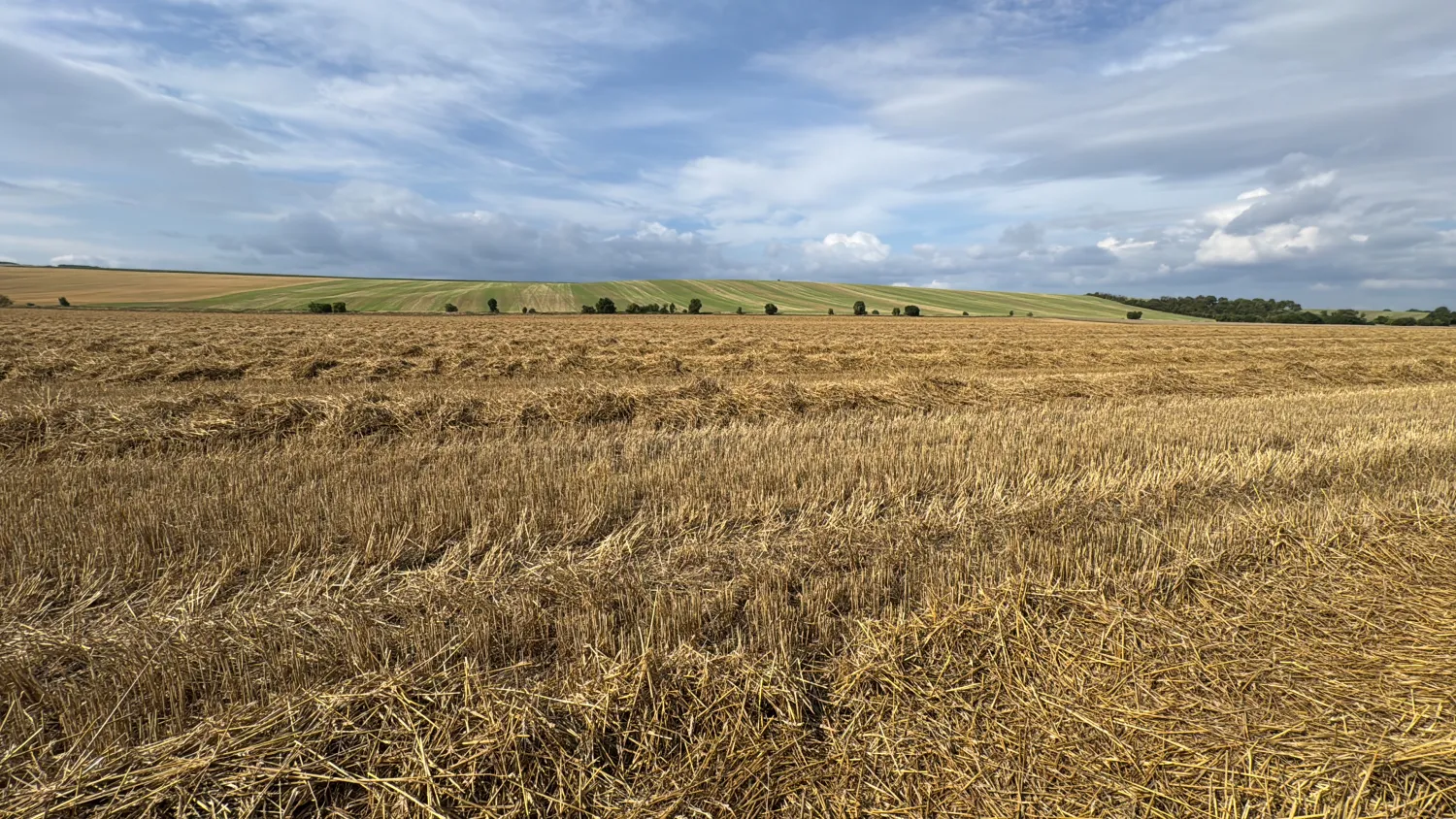 Stroh Quaderballen, 500kg, 2025 Ernte