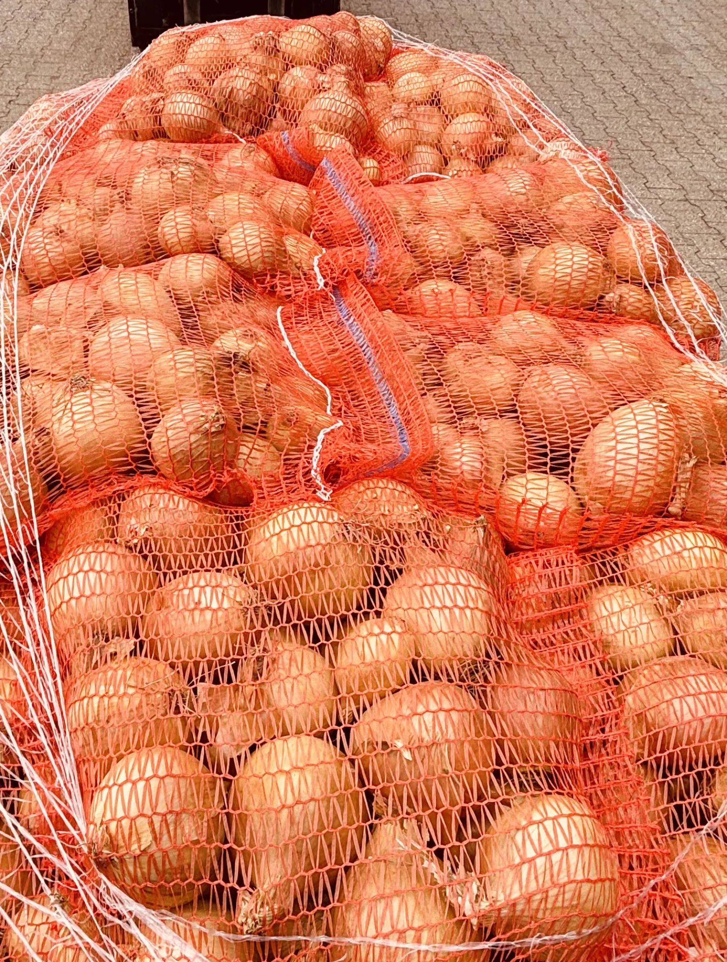 Gele uien te koop - Gesorteerd en direct van het land