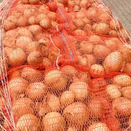 Gele uien te koop - Gesorteerd en direct van het land