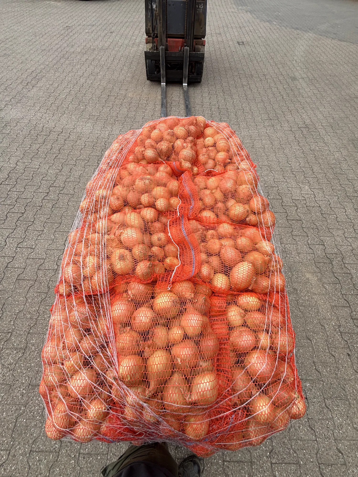 Gele uien te koop - Gesorteerd en direct van het land