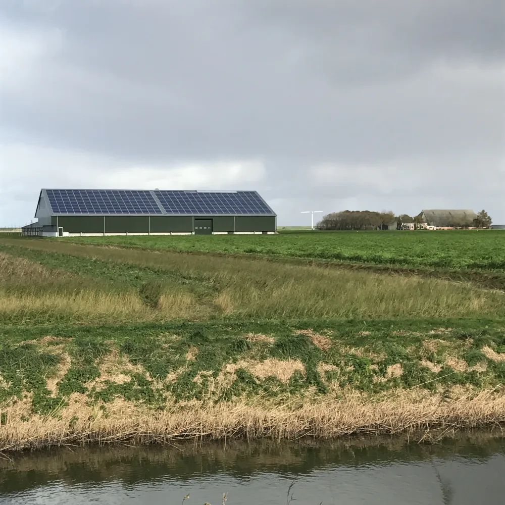 Vof J.P en J.D Bierema