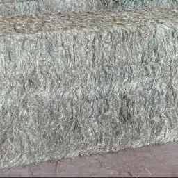 Hooi 3e snede augustus 2024 - 250 balen beschikbaar