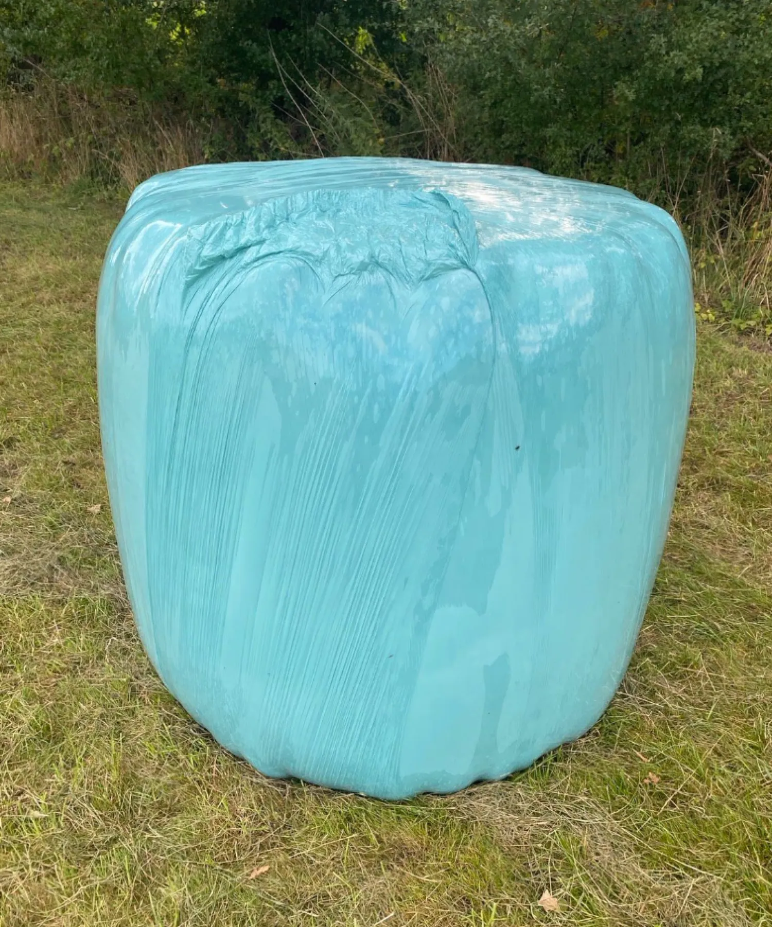 Сухі тюки сінажу на продаж - Висока якість, серпень 2025