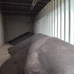 Hochwertige Ölsonnenblumen zu verkaufen | 30 Tonnen verfügbar