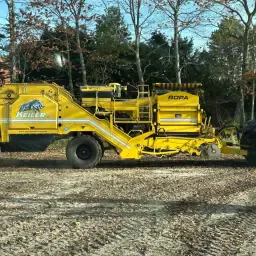 Arracheuse de pommes de terre Ropa Keiler 2 - 2019, Peu Servie