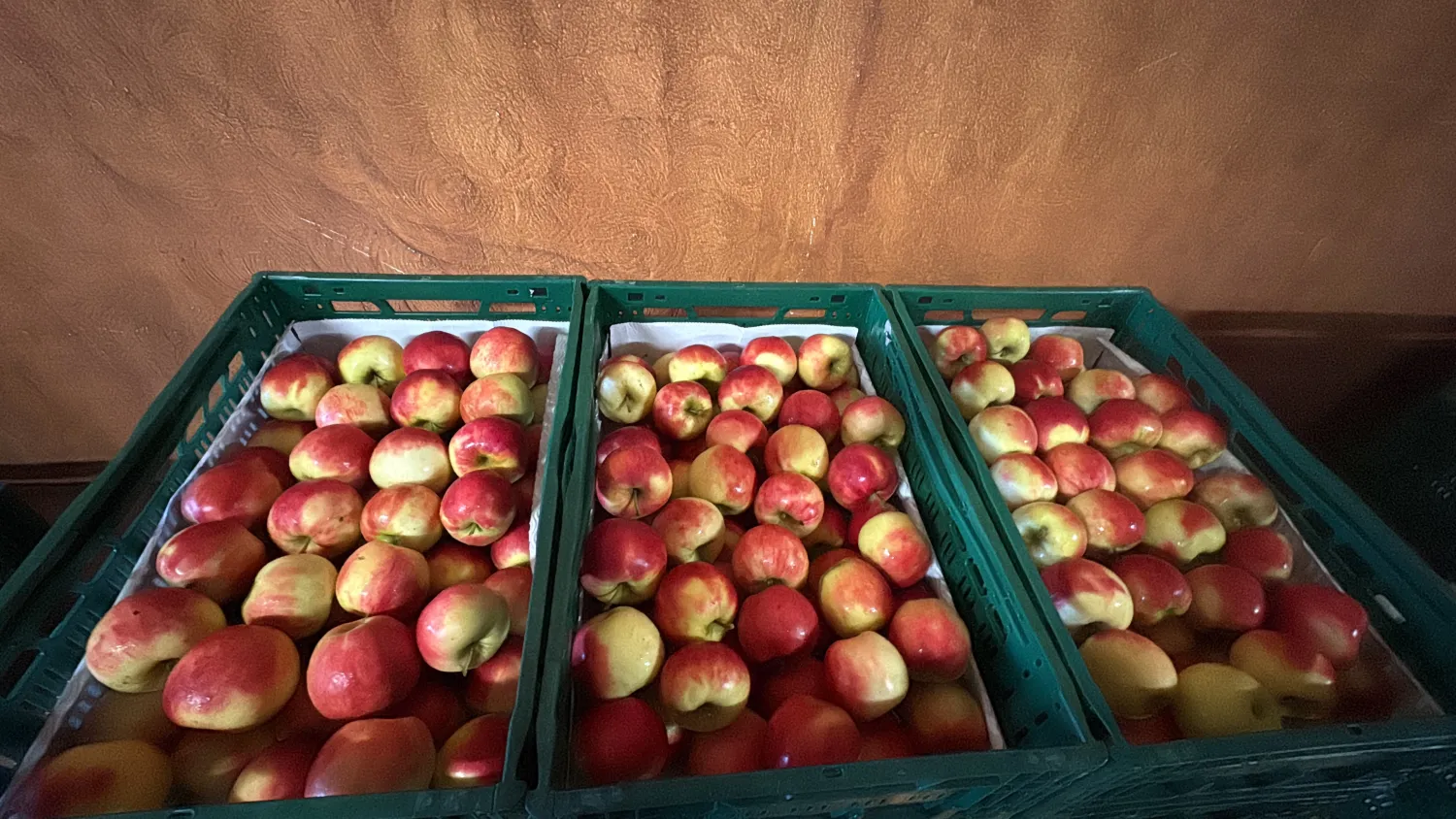 Holländische Elstar Äpfel | Premium Qualität