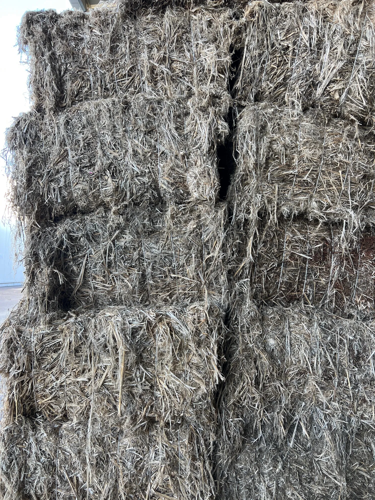 Hanfstroh kaufen: Ca. 35t mit +25% Feuchtigkeit