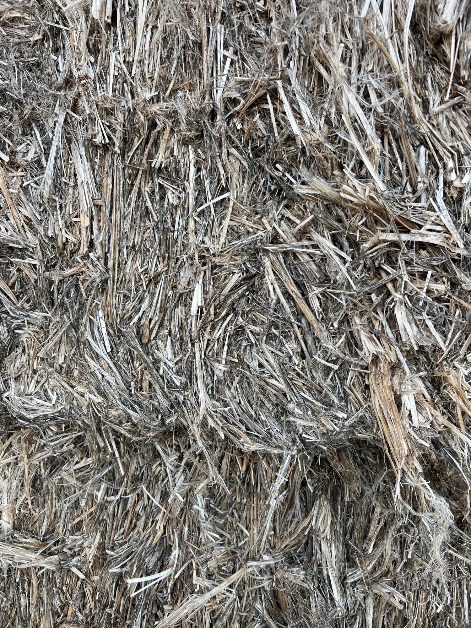Hanfstroh kaufen: Ca. 35t mit +25% Feuchtigkeit
