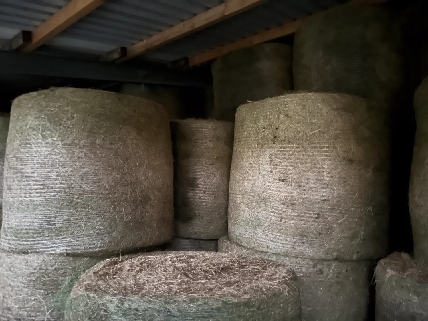 Suikerarme Hooiruilbalen, 1e snede 2024