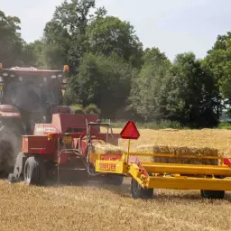 Set Meijer Limo Hydra 8 & KM 8 En Venta