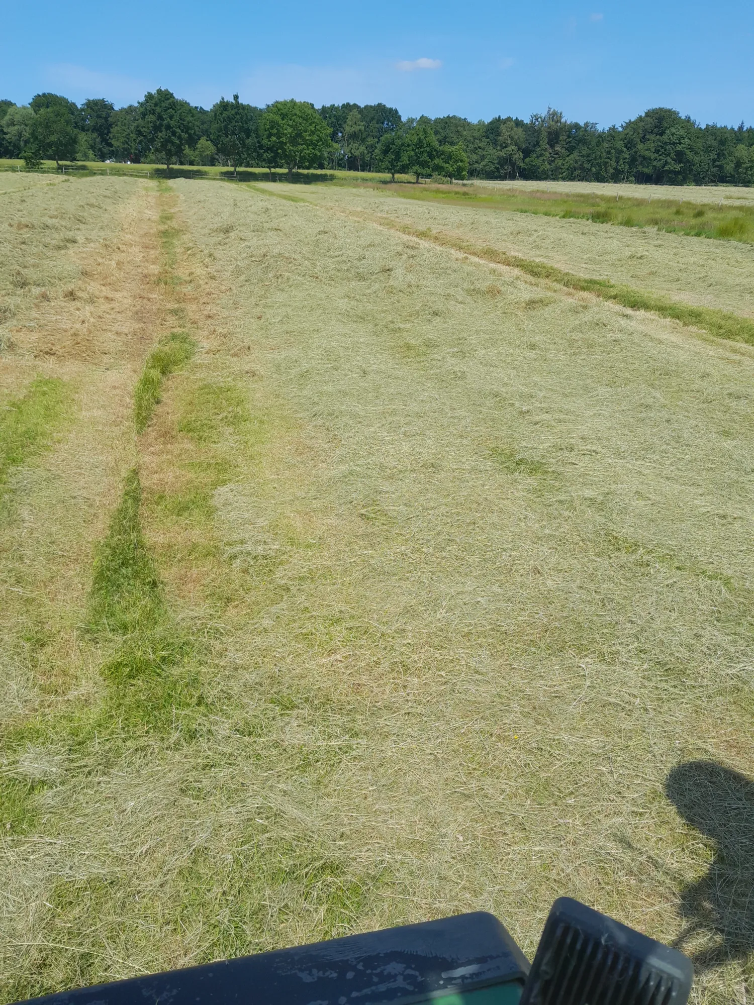 Top kwaliteit kuilvoer juni 2025, 125cm balen