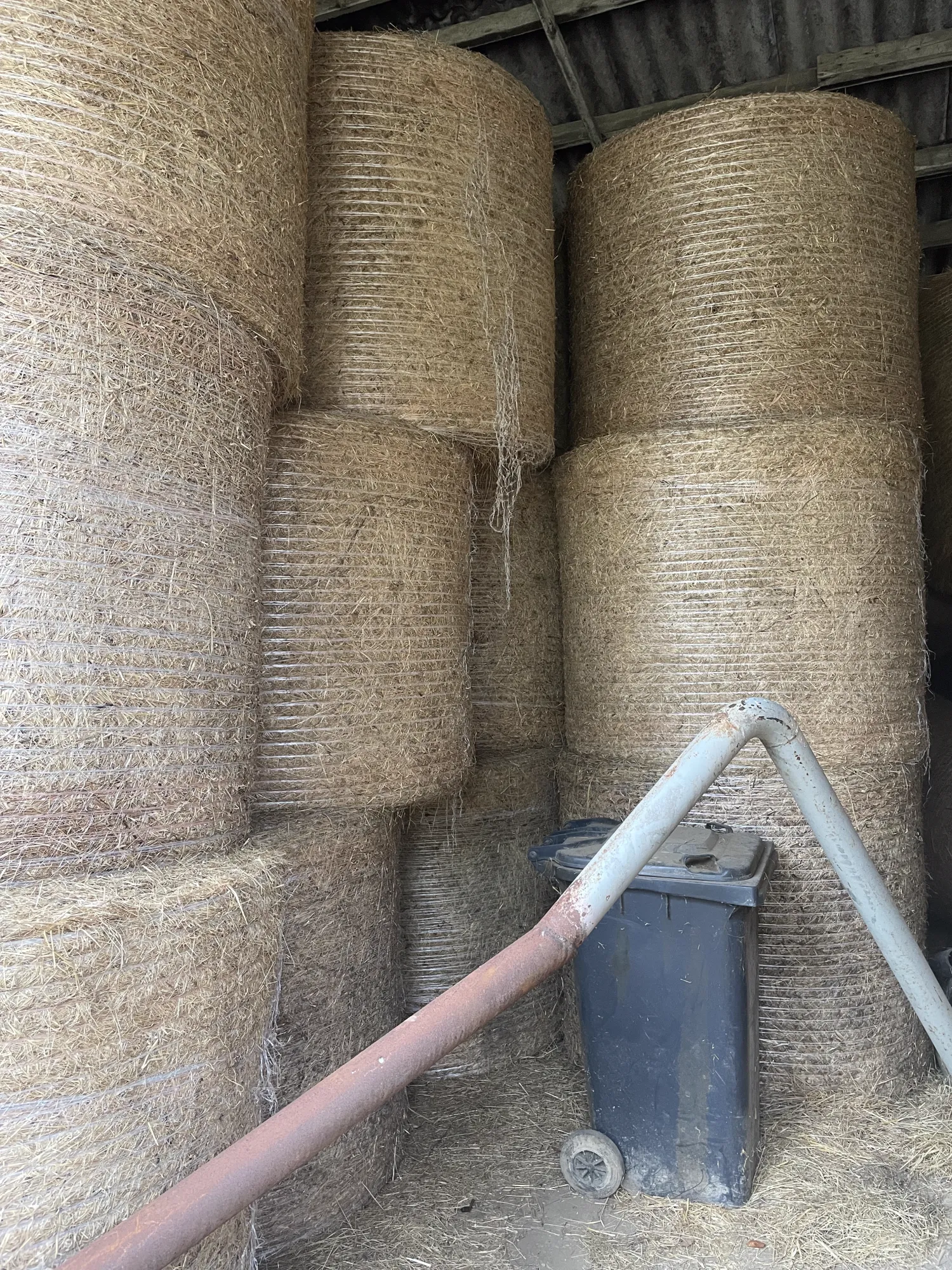 Hooi Ronde Balen 1e Snede 2024, Binnen Opgeslagen