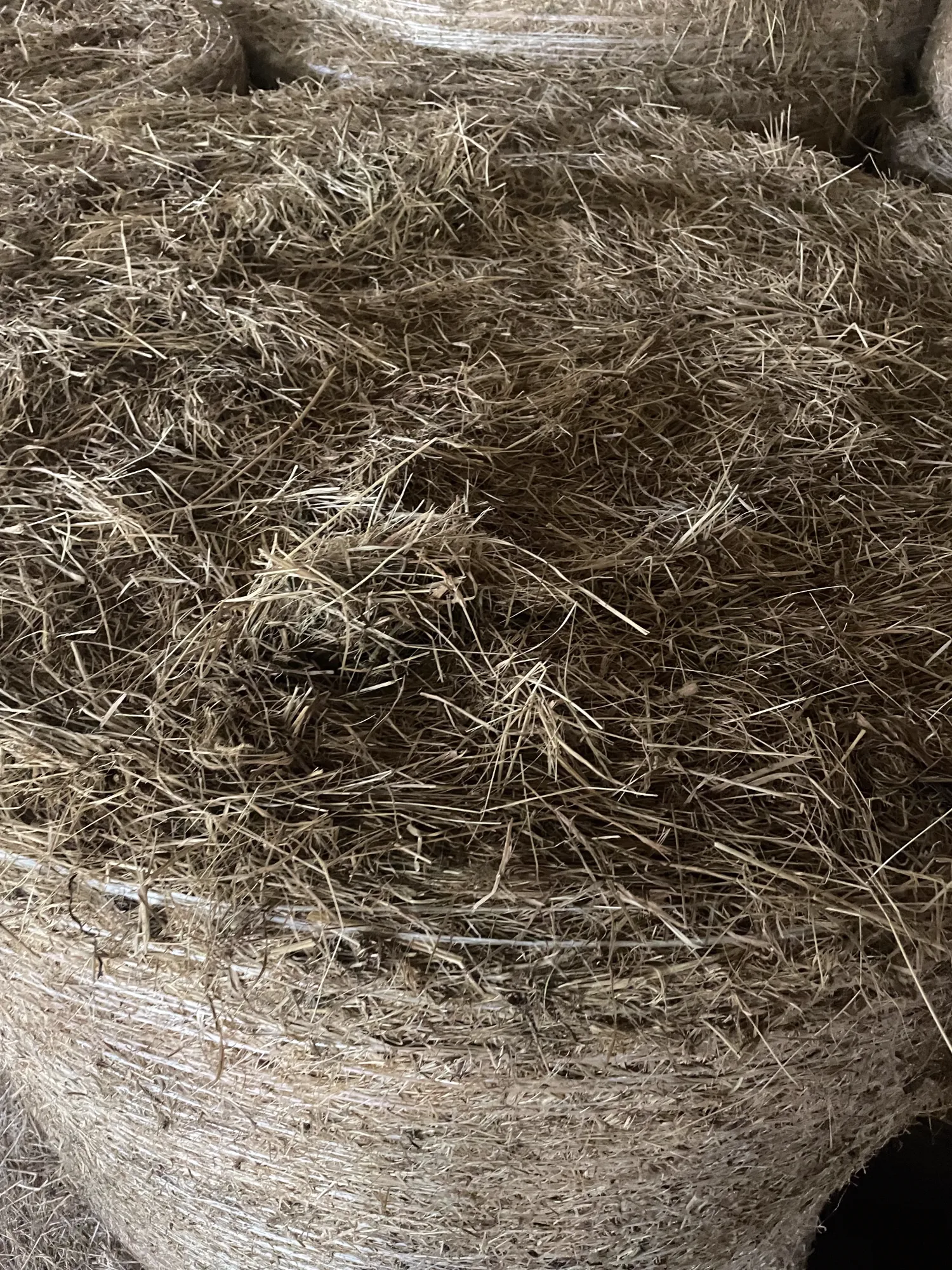 Hooi Ronde Balen 1e Snede 2024, Binnen Opgeslagen