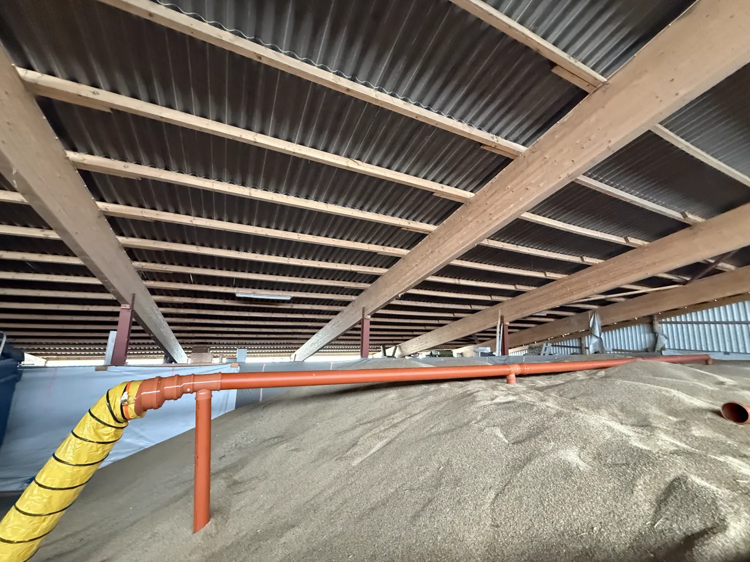 Ръж реколта 2025: 700 тона за продажба