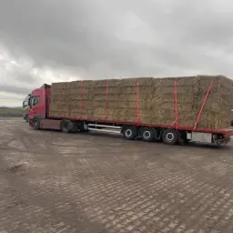 Висококачествена пшенична и ечемичена слама за продажба