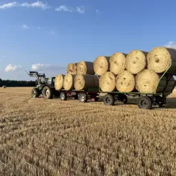 Бали кръгли от ечемичена слама реколта 2025, 1,5 м диаметър