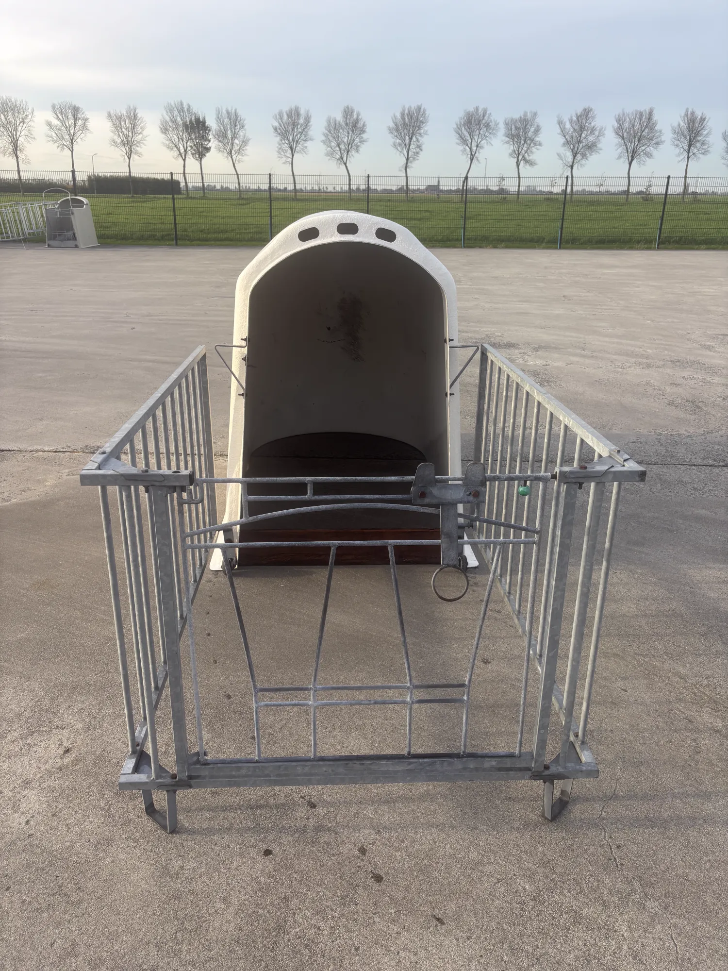 Kalveren Iglo's Kopen | Enkel & Groepsiglo's Beschikbaar