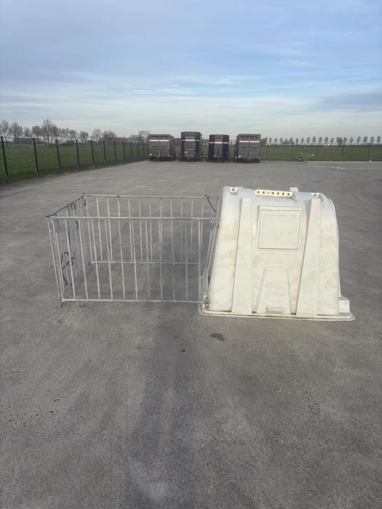 Kalveren Iglo's Kopen | Enkel & Groepsiglo's Beschikbaar