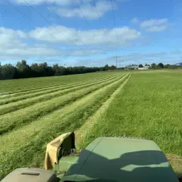 Kwaliteit Kuilvoerbalen te Koop