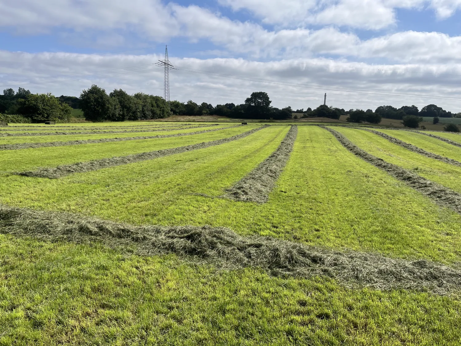 Kwaliteit Kuilvoerbalen te Koop