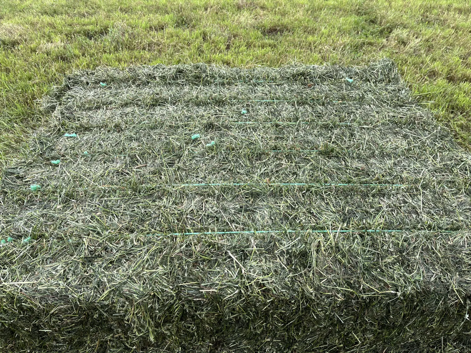 Kwaliteit Kuilvoerbalen te Koop