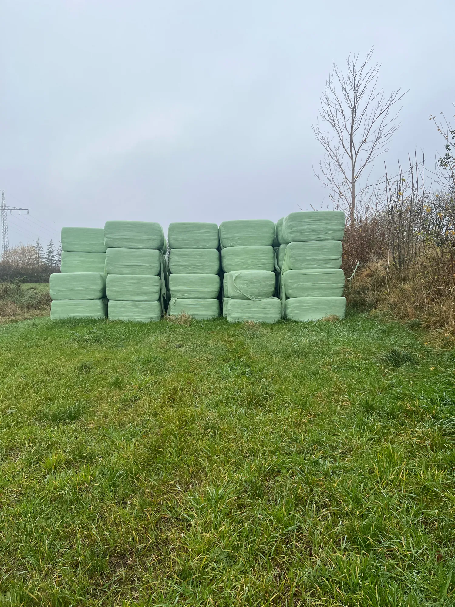 Kwaliteit Kuilvoerbalen te Koop