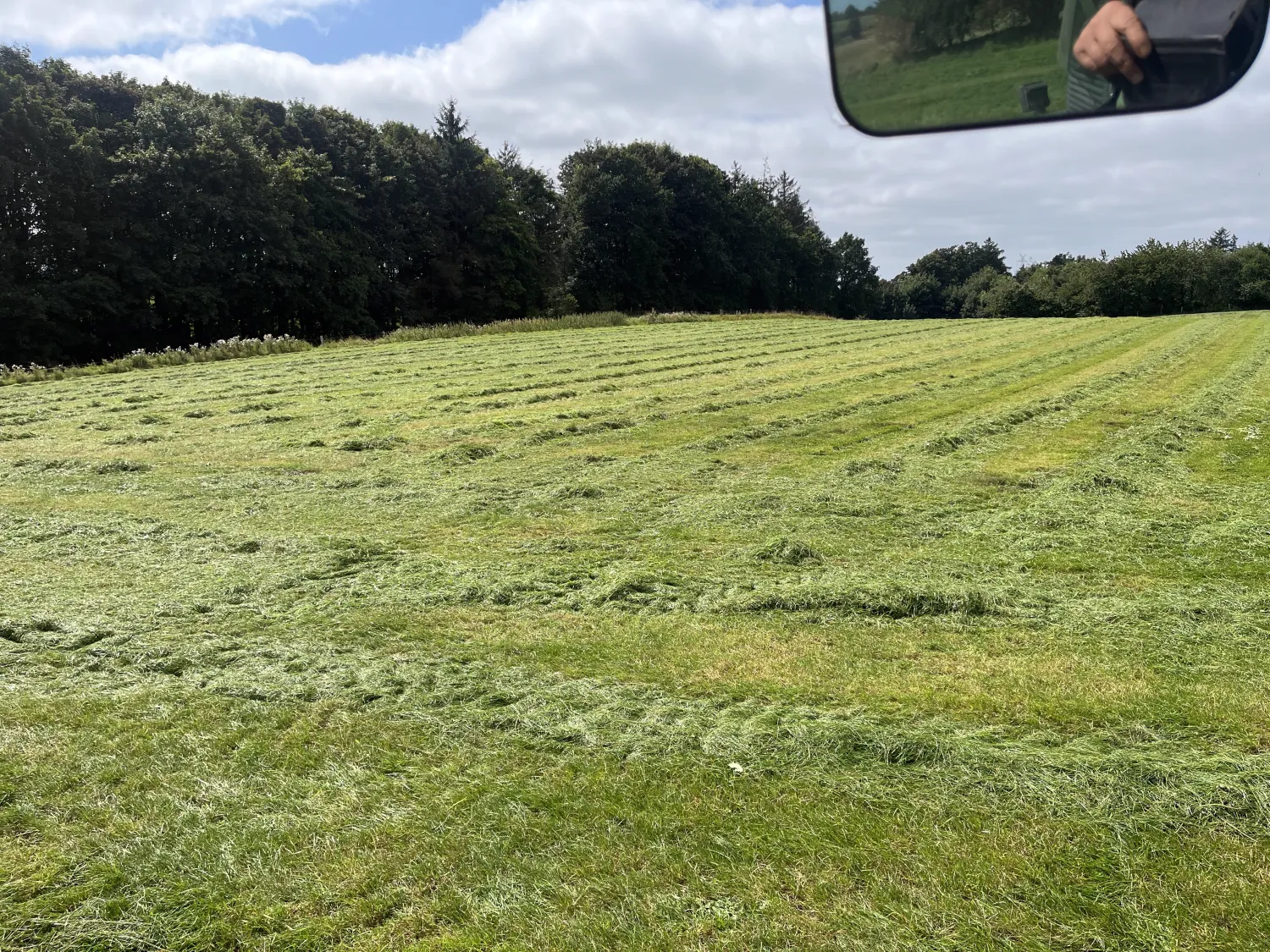 Droge silageballen te koop - Tweede snede, hoge kwaliteit