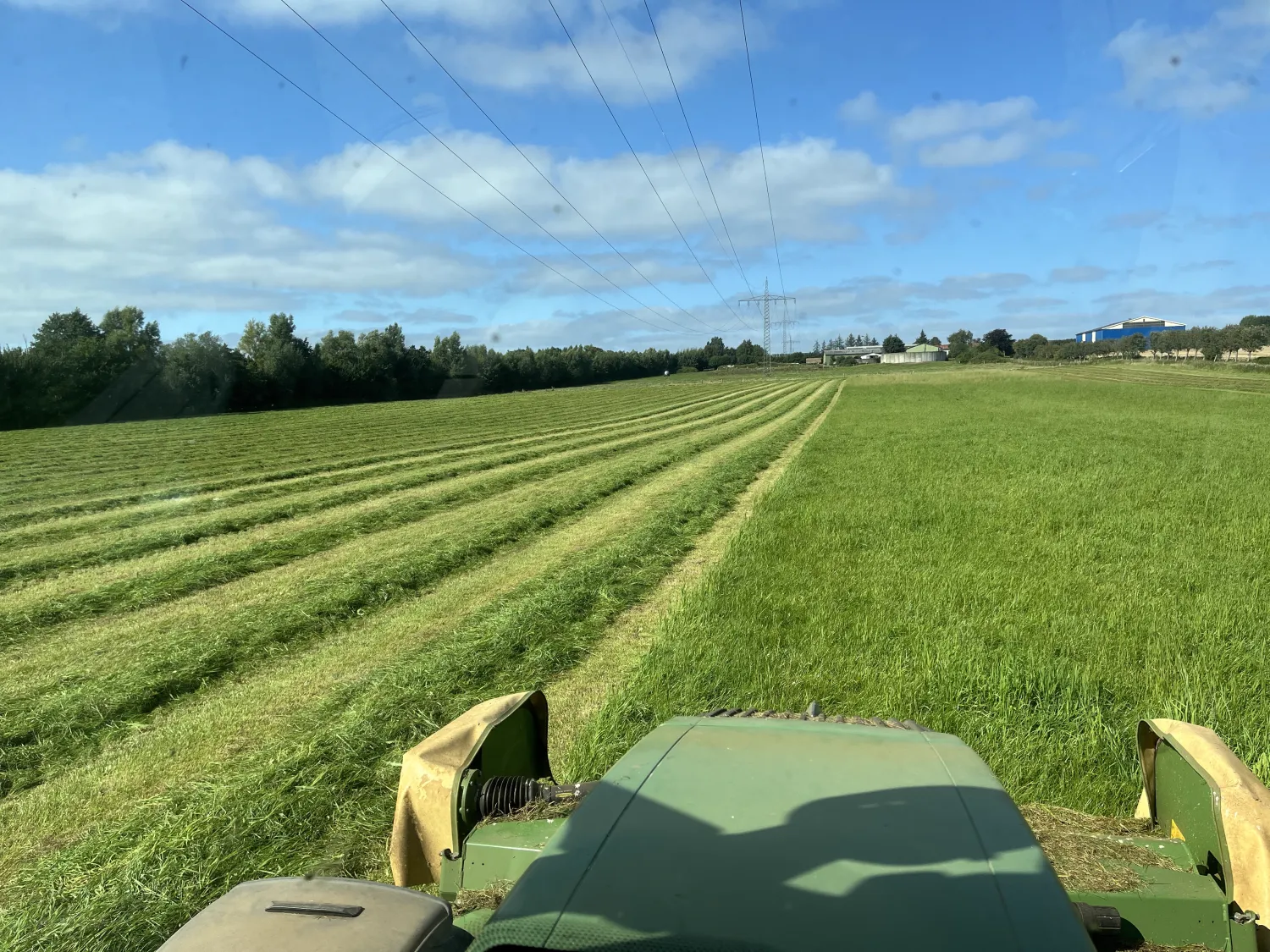 Droge silageballen te koop - Tweede snede, hoge kwaliteit