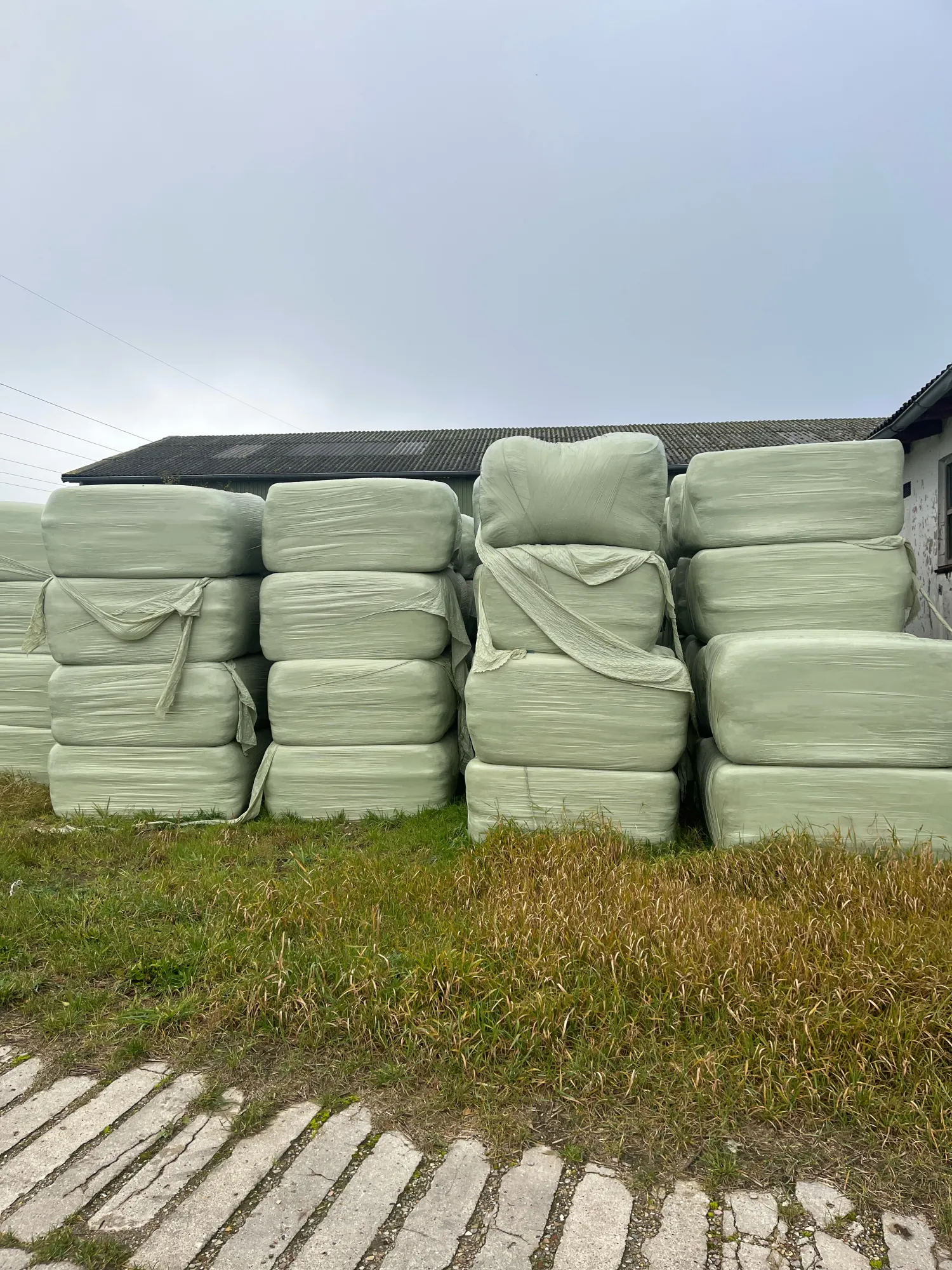 Droge silageballen te koop - Tweede snede, hoge kwaliteit