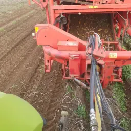 Grimme DR 1500: Zoek rooimatten met grove steek