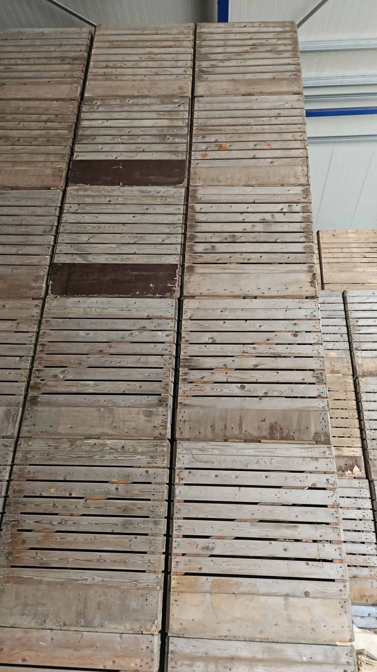 Cajas Tamaño Estándar - 1300 kg, 96 unidades