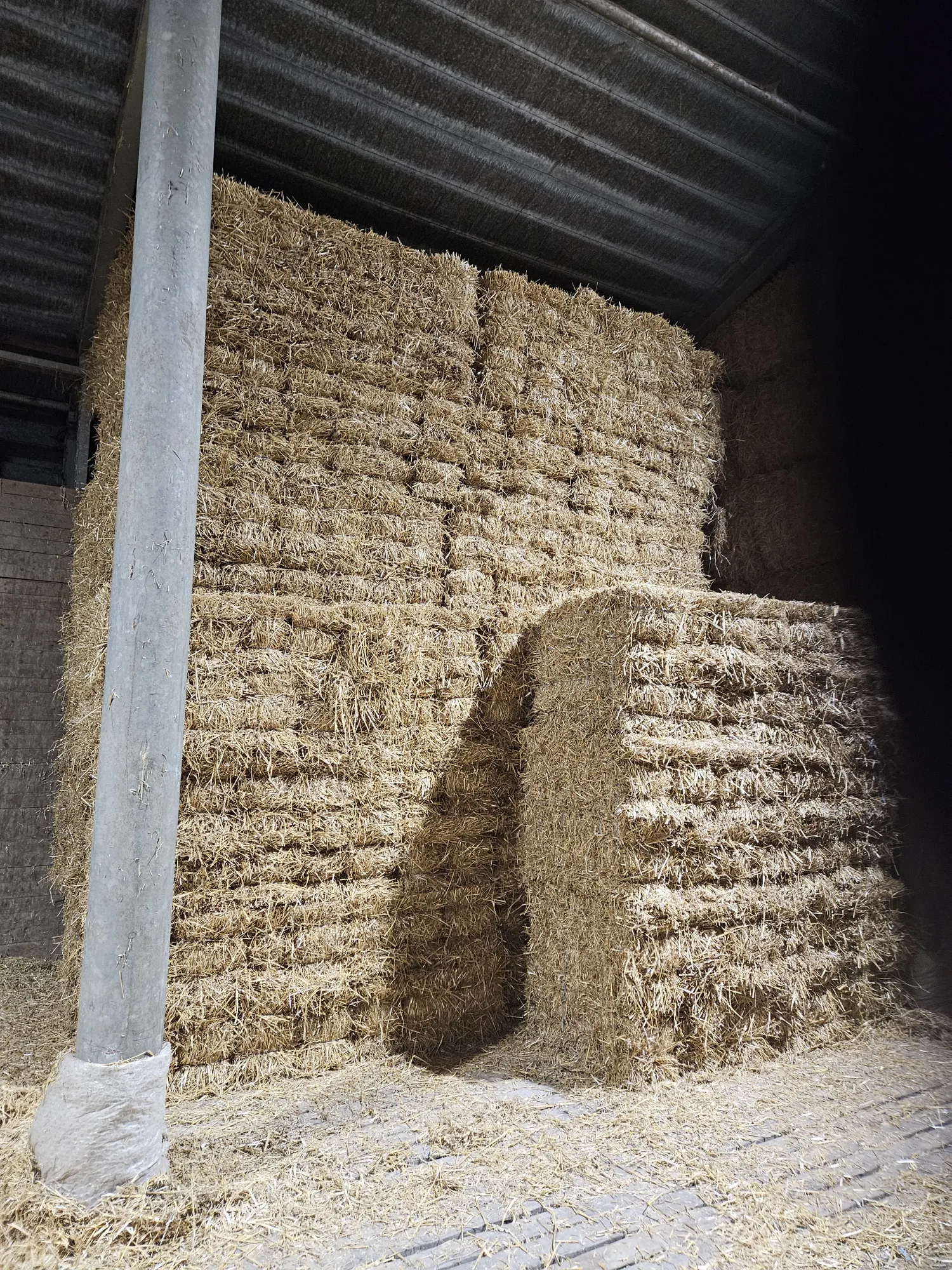 Kleine Heu- & Strohballen zu verkaufen - Zeeland