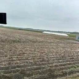 Recherche terrain pour culture de pommes de terre