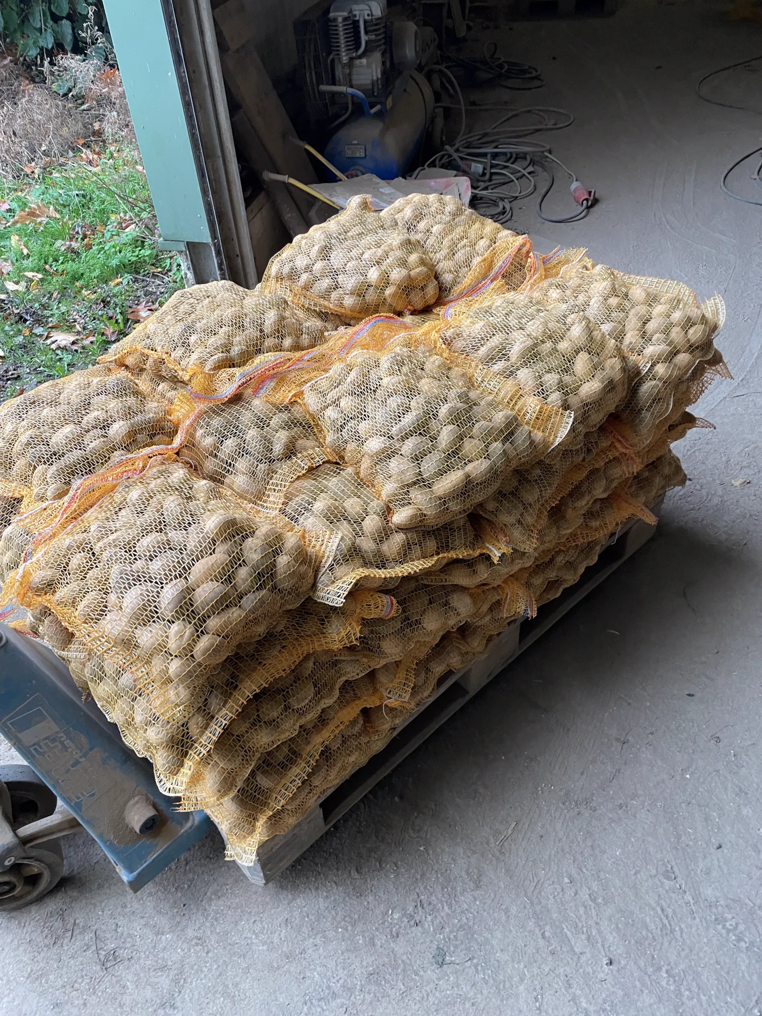 Belana Potatoes for Resale - Sorted 30-35mm, 5kg Bags