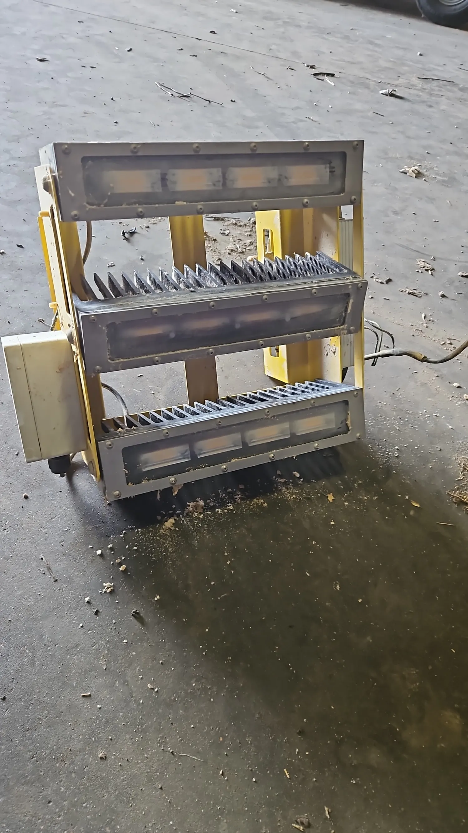 LED Verlichting Pluimveestal - 40 Stuks