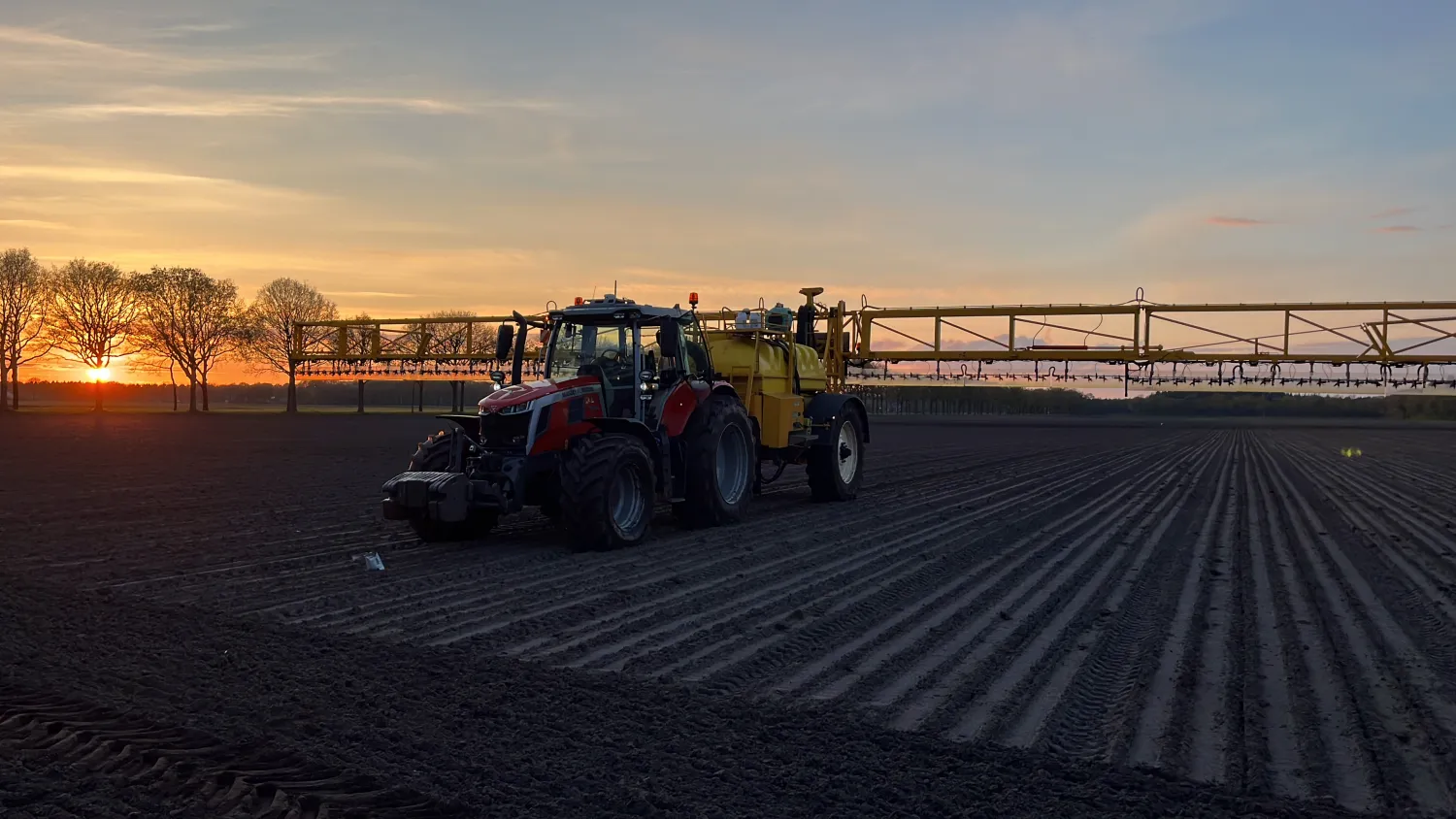 Търся земя под наем за картофи и лук