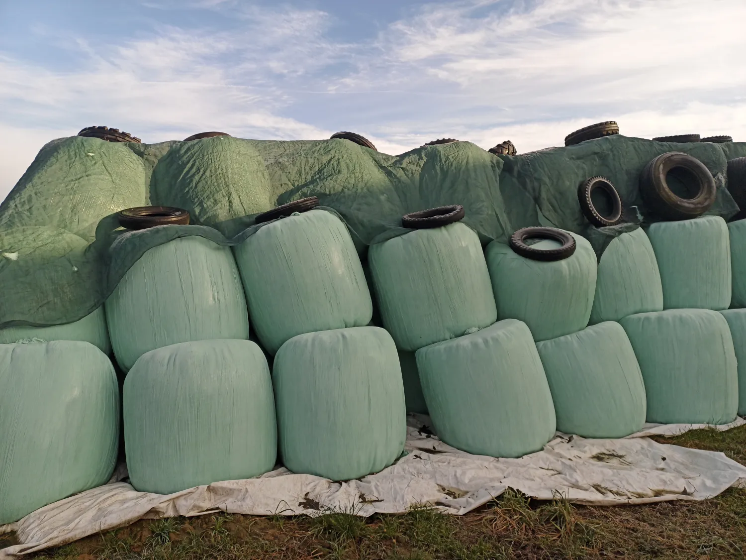 Продаж сінажу в круглих тюках - висока якість