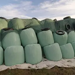 Продаж сінажу в круглих тюках - висока якість