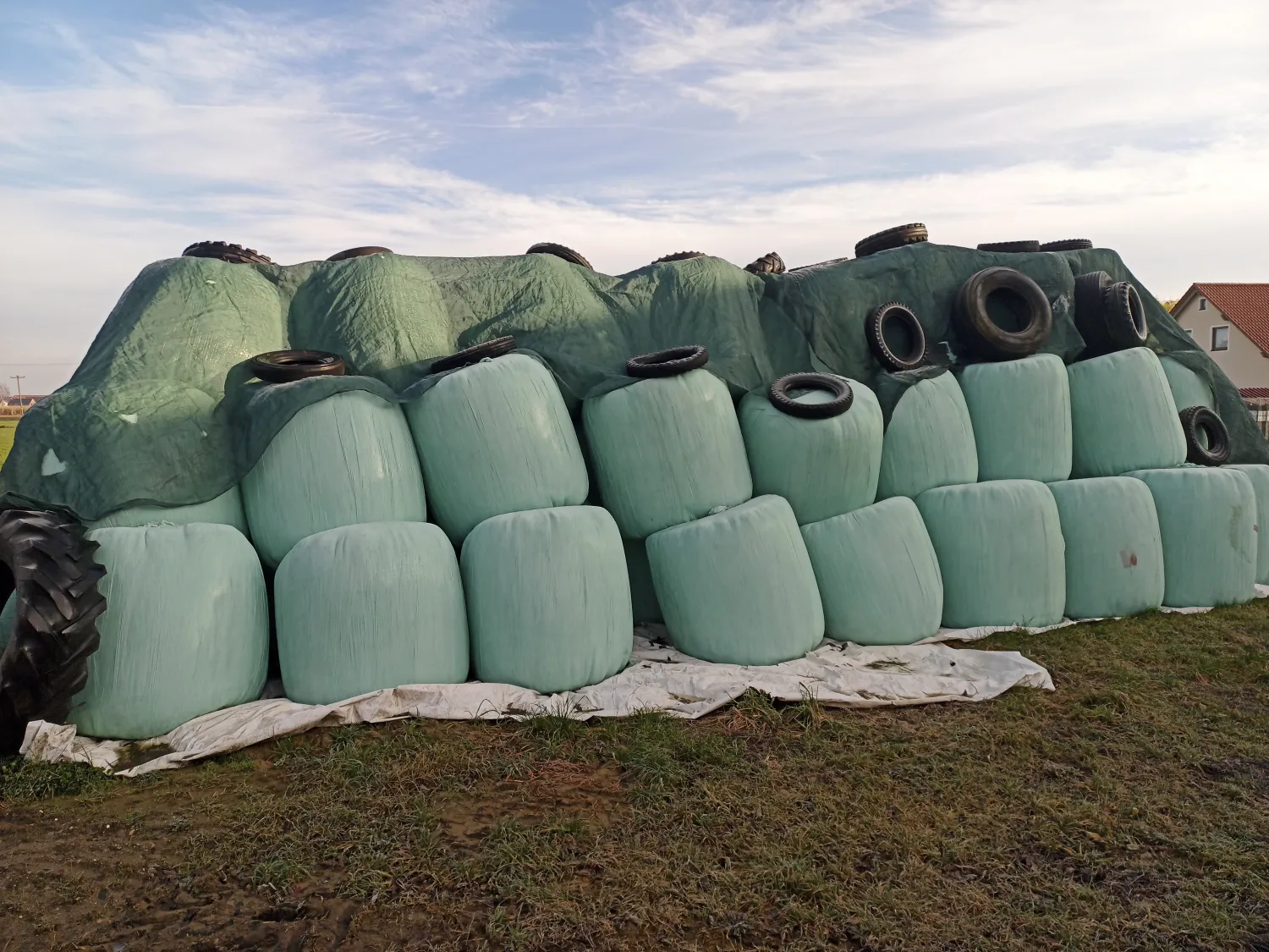 Продаж сінажу в круглих тюках - висока якість