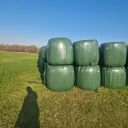 Сінаж для коней на продаж - висока якість, малі кількості OK