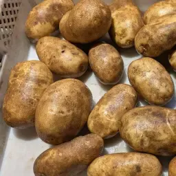 Aardappelen Innovator 500t - Hoge Kwaliteit, Vers van het Veld