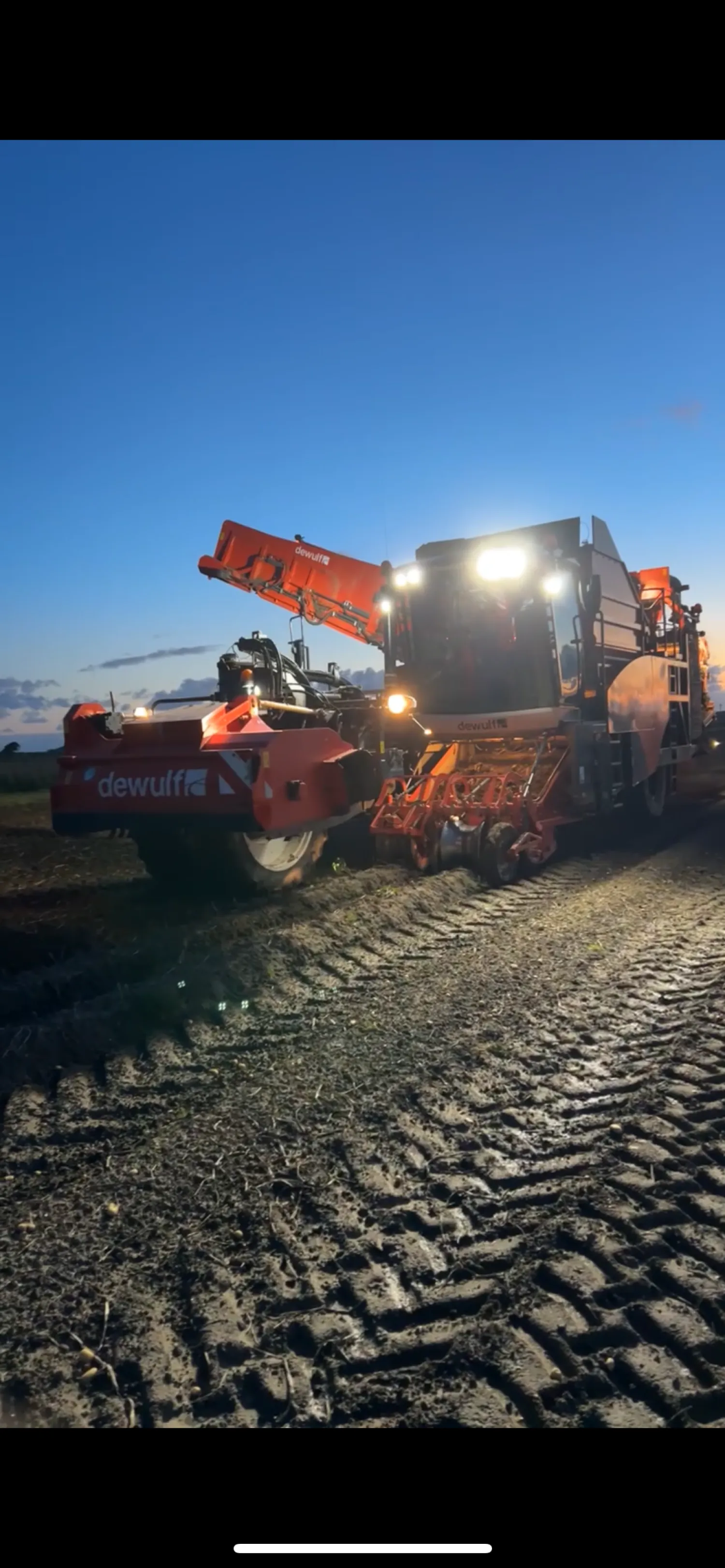 Търси се земя за картофи за посев в Североизточен Полдер