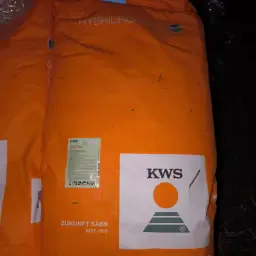 Roggensamen kopen | Topkwaliteit zaden