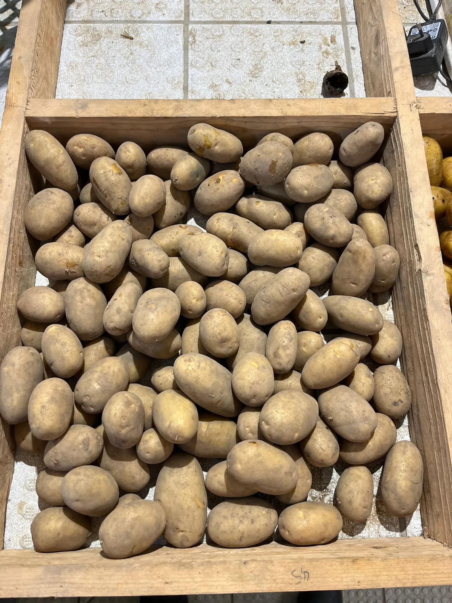 27 t biologische Linda-pootaardappelen, maat 28-40