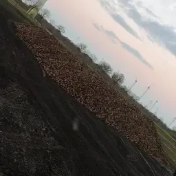Leveringsrechten voor suikerbieten Cosun Holland gezocht