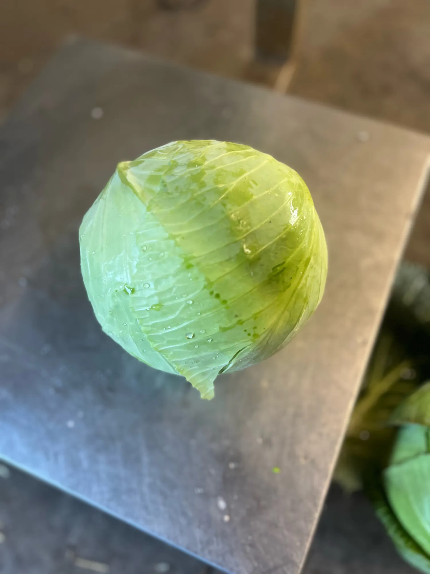 Hvidkål og rødkål til salg | Frisk høst