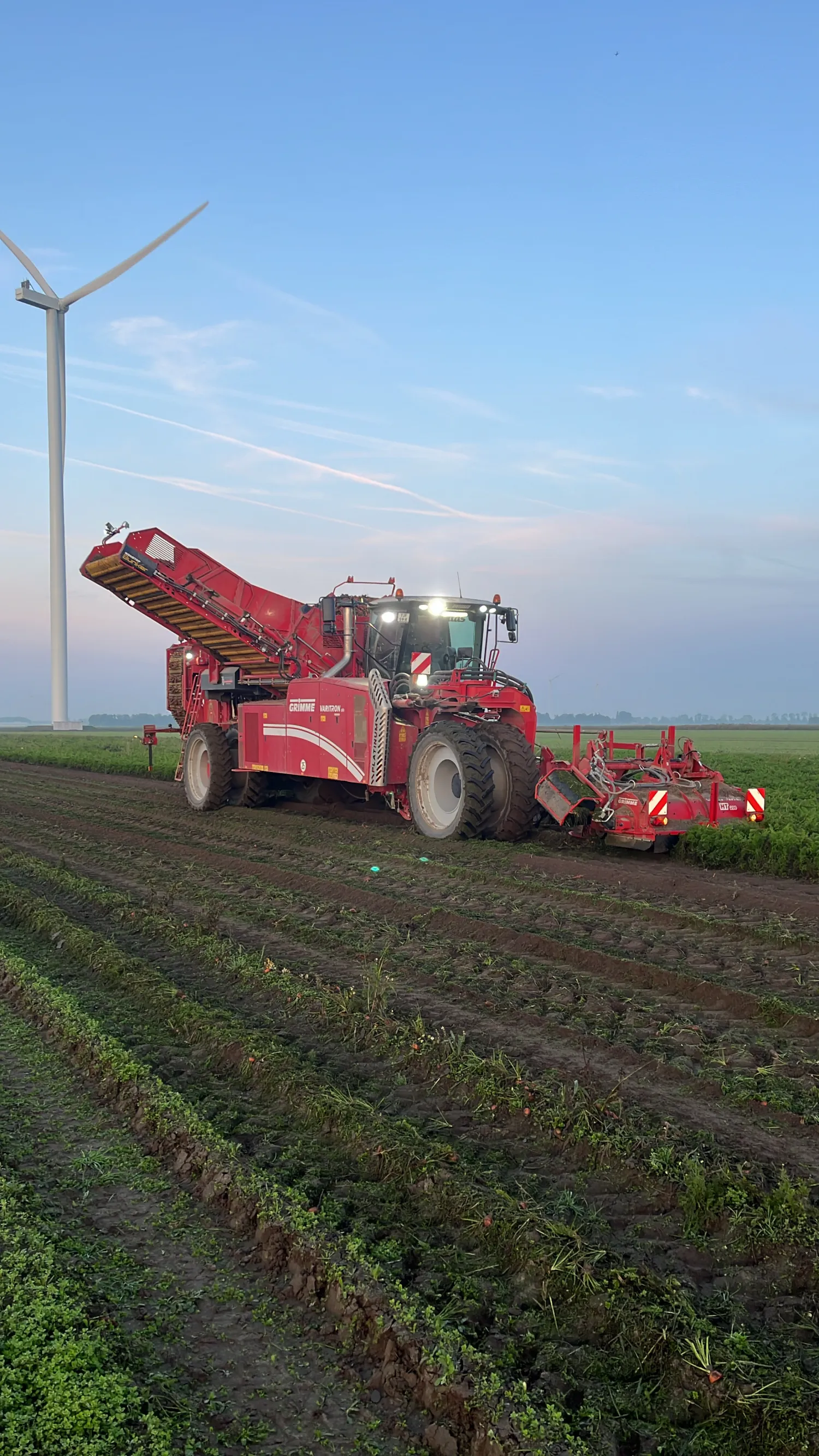 Wortels rooien: Versmarkt & Industrie | Grimme Varitron